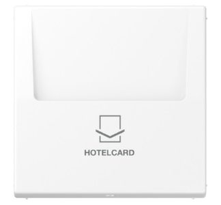 Стеллаж для карт в отеле, матовый, белоснежный - Накладка на переключатель/кнопку LS 590 CARD WWM