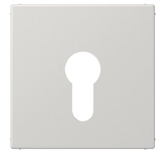 Крышка выключателя зажигания. - Серая крышка выключателя LS 925 LG