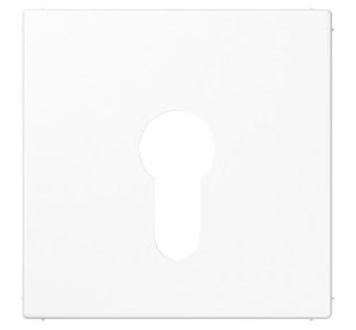 Крышка выключателя зажигания. - Белая крышка выключателя LS 925 WW