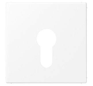 Матовая накладка снежно-белого цвета - Белая декоративная накладка для переключателя LS 925 WWM