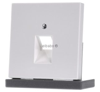 Белая альпийская крышка для розетки IAE/ZEA - пластина ZEA/IAE (ISDN) LS 969-1 UA WW
