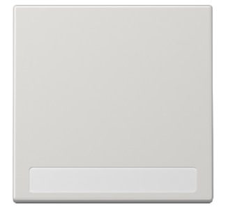 Надпись на кнопке переключателя светло-серого цвета - Защитная накладка для переключателя/кнопки серого цвета LS 9...