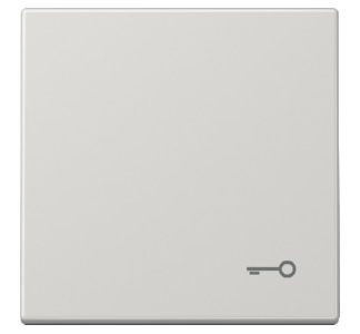 Символ кнопки DOOR светло-серый - Крышка серая LS 990 T LG