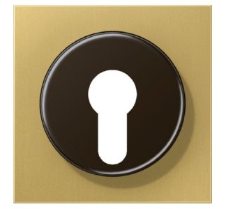 Крышка для выключателя (классная) - Латунная накладка для выключателя ME 2928 C