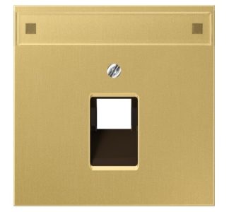 Крышка корпуса/класса для разъема IAE/UAE/передачи данных - табличка с названием UAE/IAE (ISDN) ME 2969-1 NAUA C