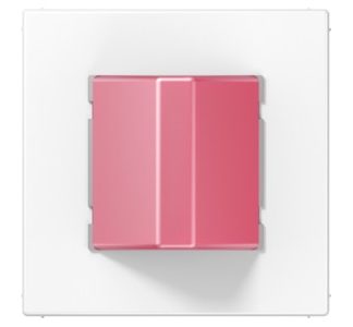 Неправильная настройка модуля вызовов AWS — Переключение устройств для людей с ограниченными возможностями NRS LS 0834 ...