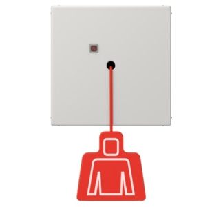 Выключатель с тяговым шнуром, без рамки, светло-серый, крепление винтами NRS LS 0834 ZT LG