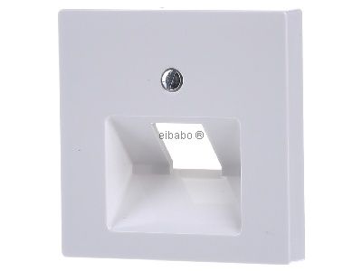 Центральная пластина Polar White/Glossy для использования в Объединенных Арабских Эмиратах, 1 шт., артикул 296219