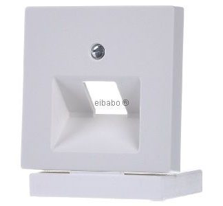 Центральный полярный белый цвет для использования в Объединенных Арабских Эмиратах 1x 298319