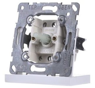 Вставка выключателя, 2-полюсный, 10 А, 250 В - 2-полюсный выключатель и кнопочный выключатель 317200