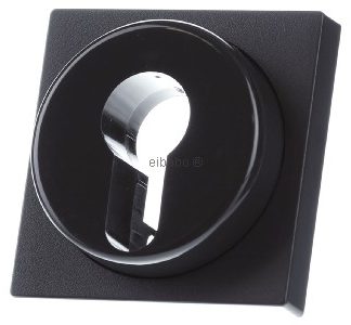 Центральная пластина и вставка замка выключателя - Крышка выключателя/кнопки 318114