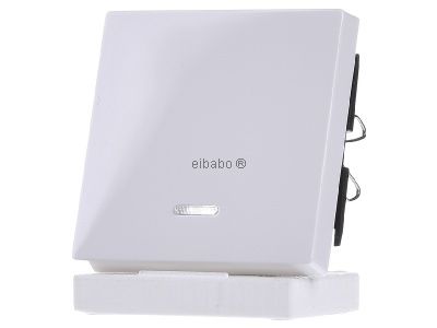 Накладка на кнопку переключателя управления Window Alpine White/Glossy 436025