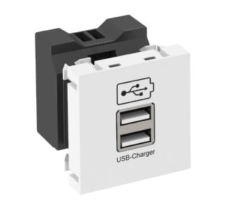 USB-зарядное устройство с зарядным током 2,1 А — базовый элемент с центральной крышкой MTG-2UC2.1 RW1