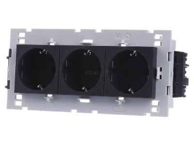 Розетка 0 градусов, 3x 250 В, 10/16 А, Schuko - электрическая розетка STD-D0C8 SWGR3