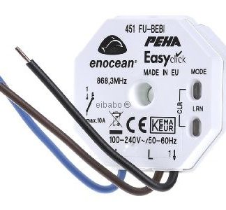 1-канальный радиоприемник с защитным кожухом D 451 FU-B EBI