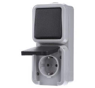 Комбинированный выключатель/розетка D 6666 WAB