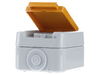 Выход для США - розетка NEMA D 6670/15 US WAB