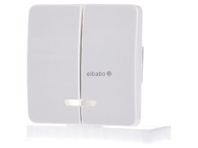 Накладка на выключатель/кнопку Delta Profile Swing With Window, белая, 5TG7818
