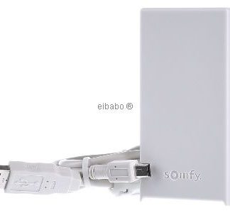 Модуль датчика температуры и температуры TaHoma RTD Gateway - радиоприемник 433 МГц 1824032