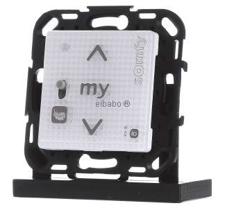 Настенный радиопередатчик IN io Pure Shine Smoove RS100 #1811318